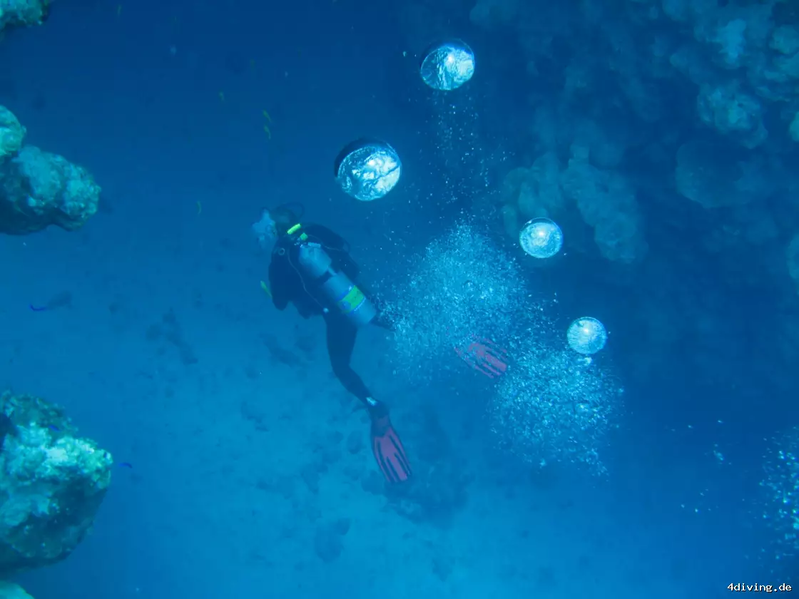 Tauchfoto dahab-02