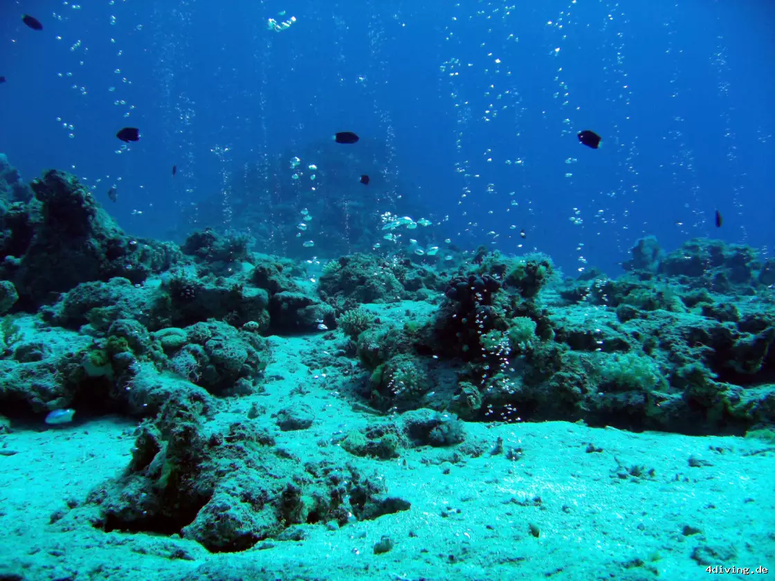 Tauchfoto dahab-03