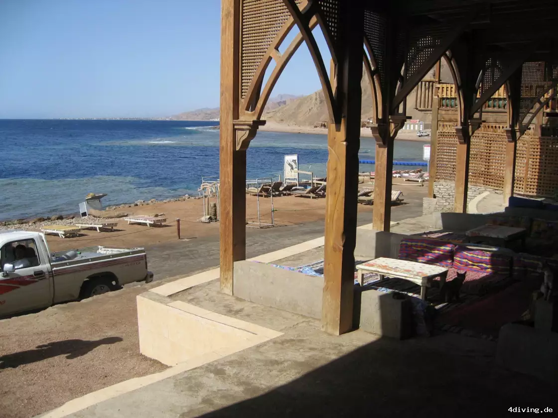Tauchfoto dahab-10