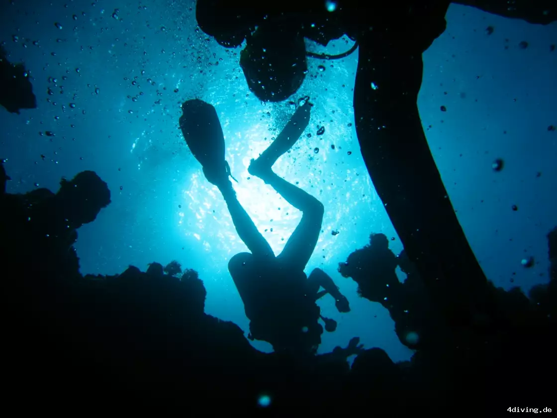 Tauchfoto el-gouna-02