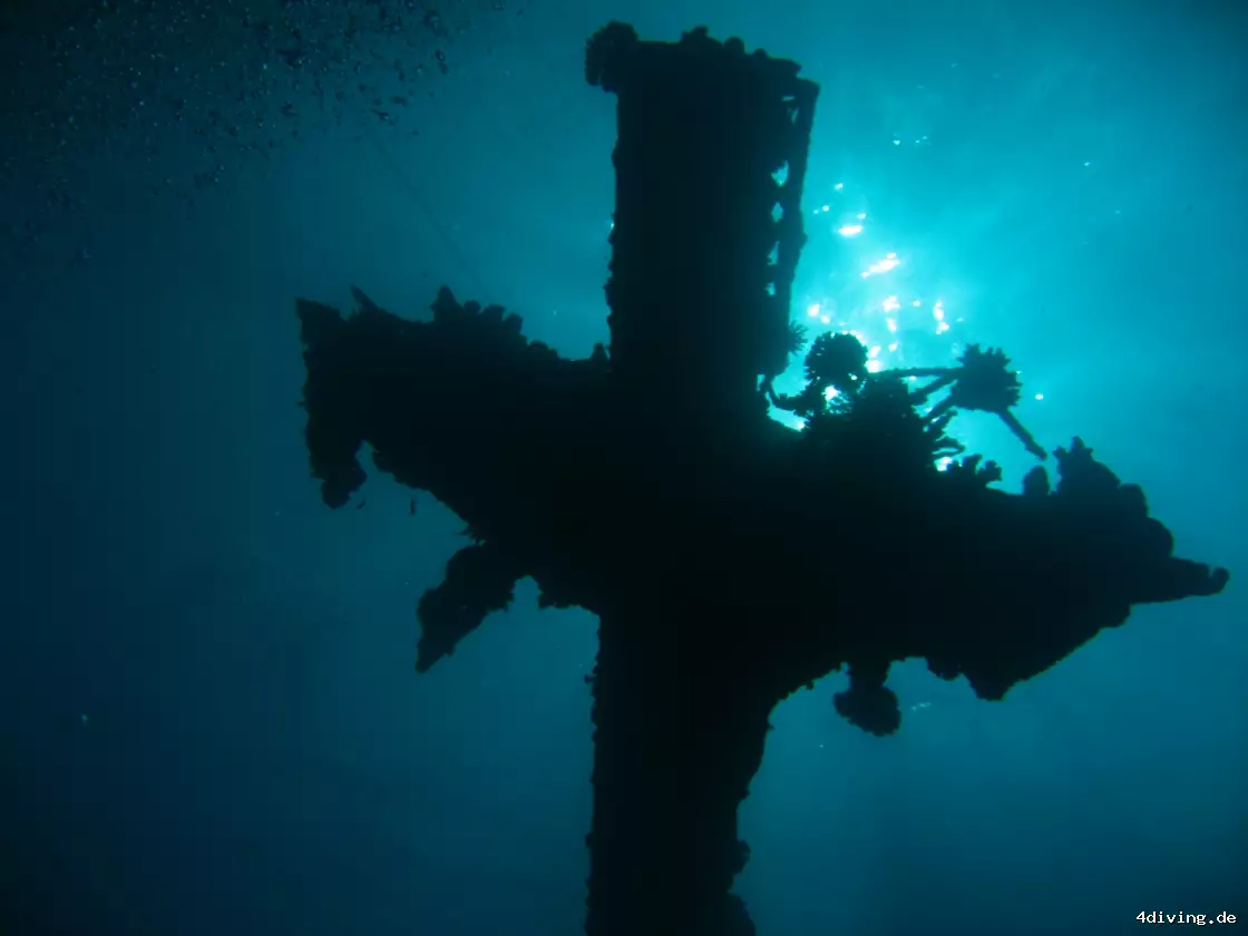 Tauchfoto el-gouna-33