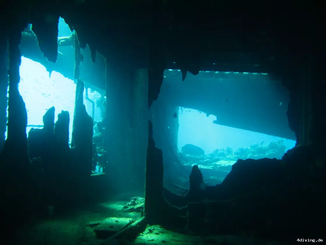 Tauchfoto el-gouna-35