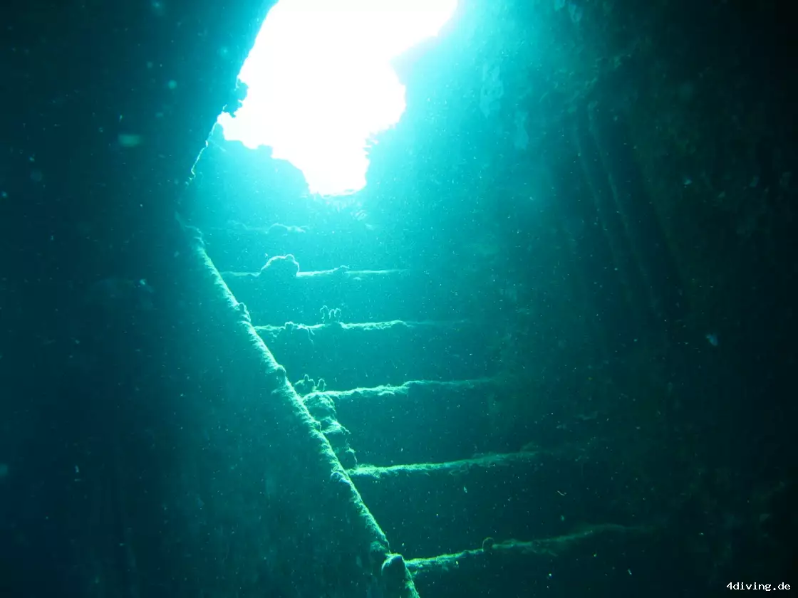 Tauchfoto el-gouna-36