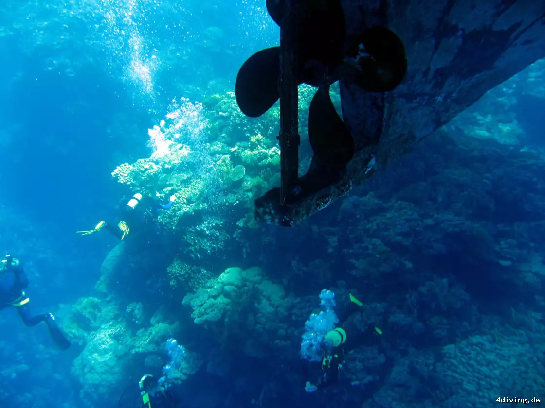 Tauchfoto marsa-alam-06