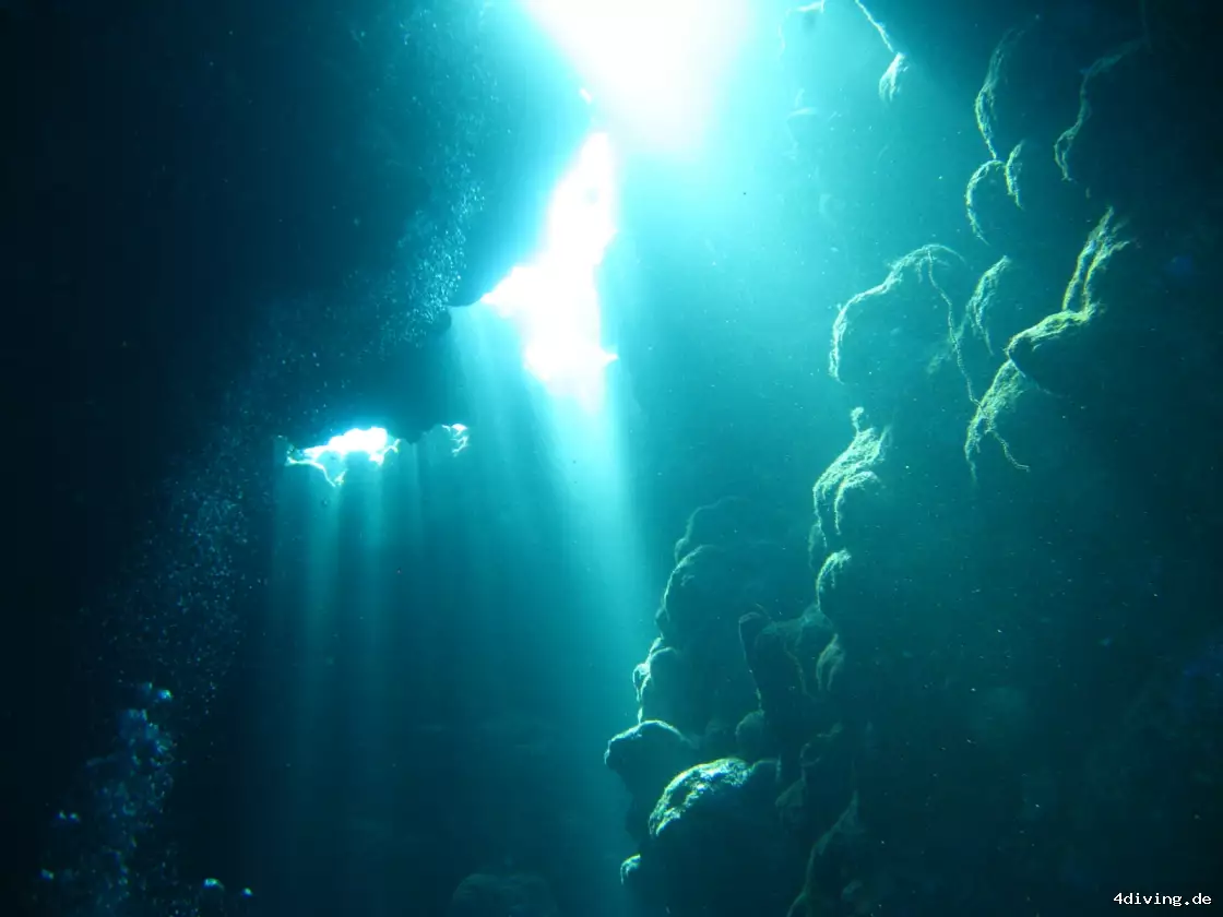 Tauchfoto marsa-alam-17