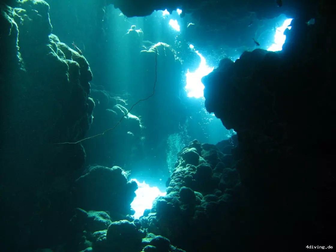 Tauchfoto marsa-alam-27