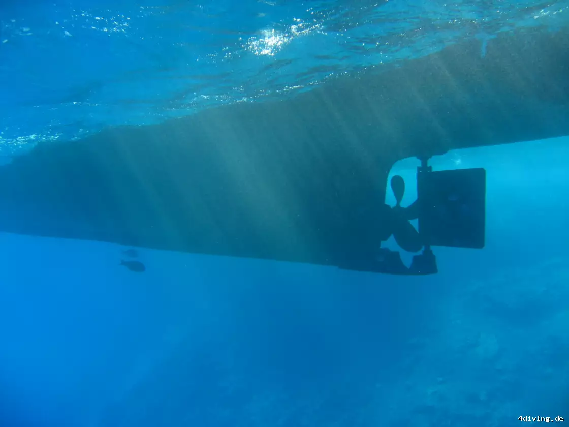 Tauchfoto marsa-alam-34