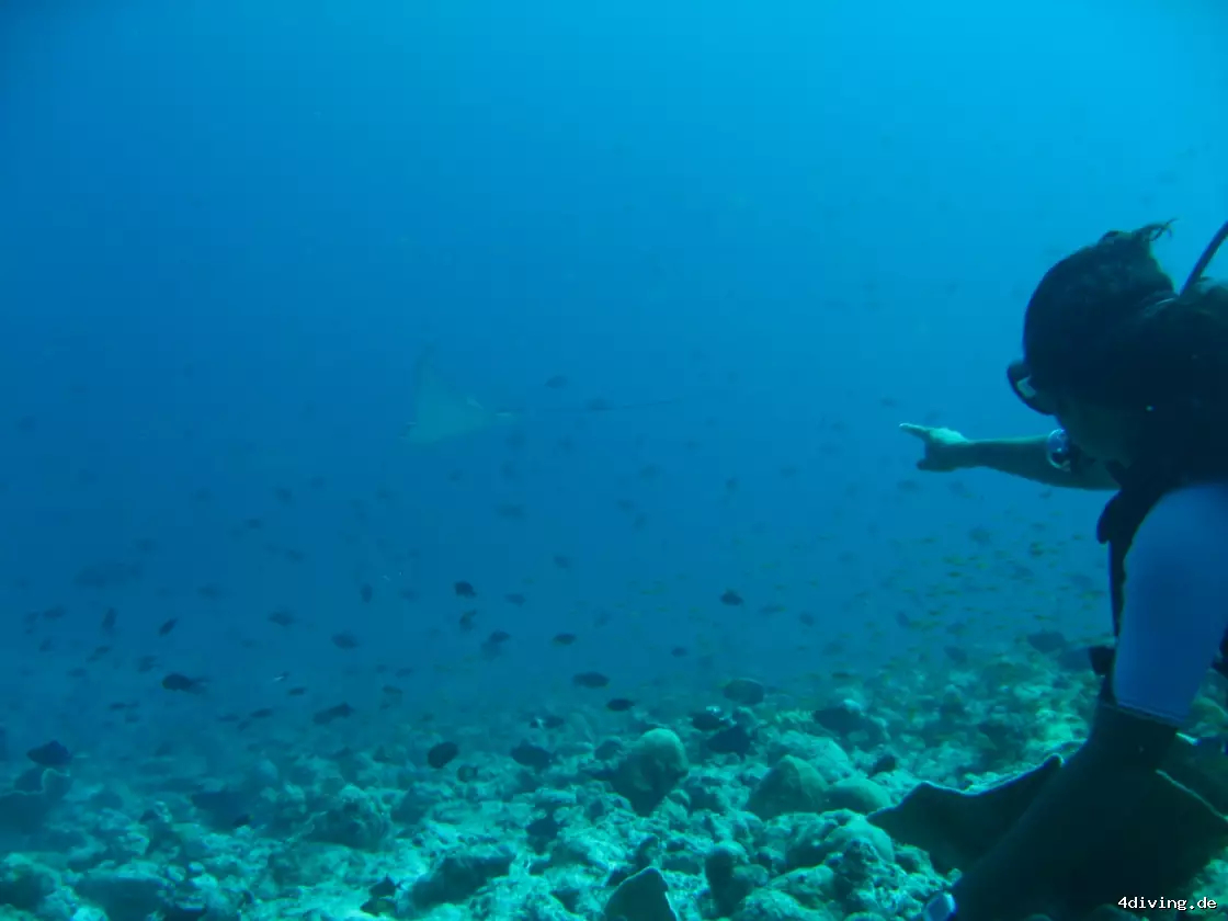 Tauchfoto kuredu-36