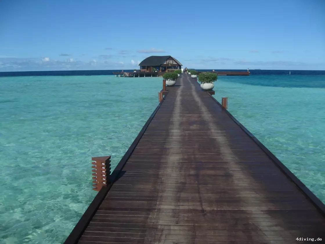 Tauchfoto olhuveli-20