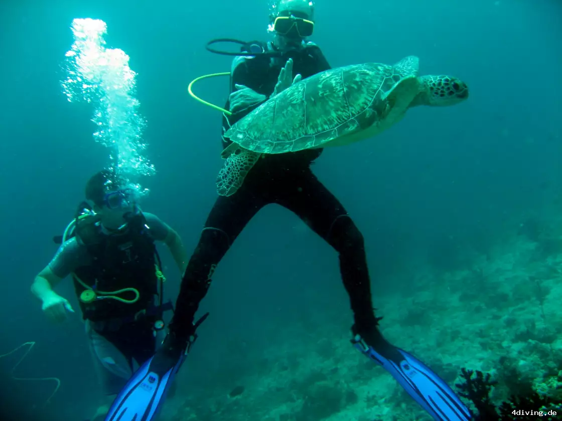 Tauchfoto olhuveli-35