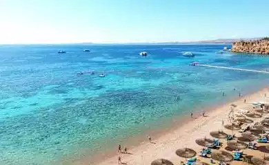 Hotel Reef Oasis Beach Resort