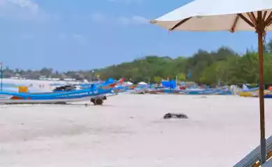 Hotel Hotel The Open House Bali